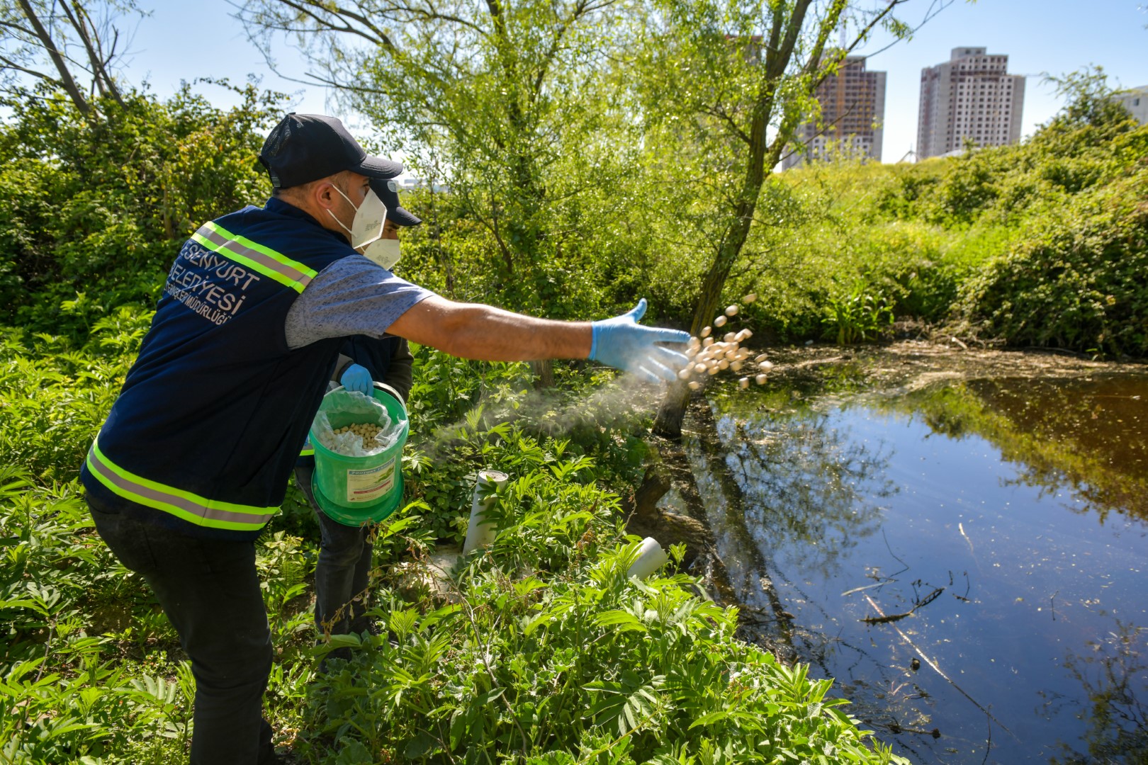 Esenyurt’ta Haşerelere Geçit Yok: Larva Mücadelesi Başladı