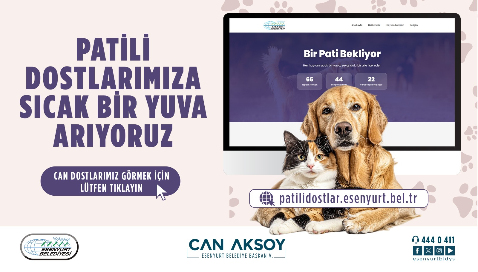 Patili Dostlarımıza Sıcak Bir Yuva Arıyoruz.